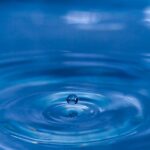 drip, water, rain, wet, drop of water, raindrop, liquid, nature, droplets, macro, close up